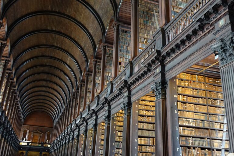 What Your Library Can Actually Do for You (Beyond Books)